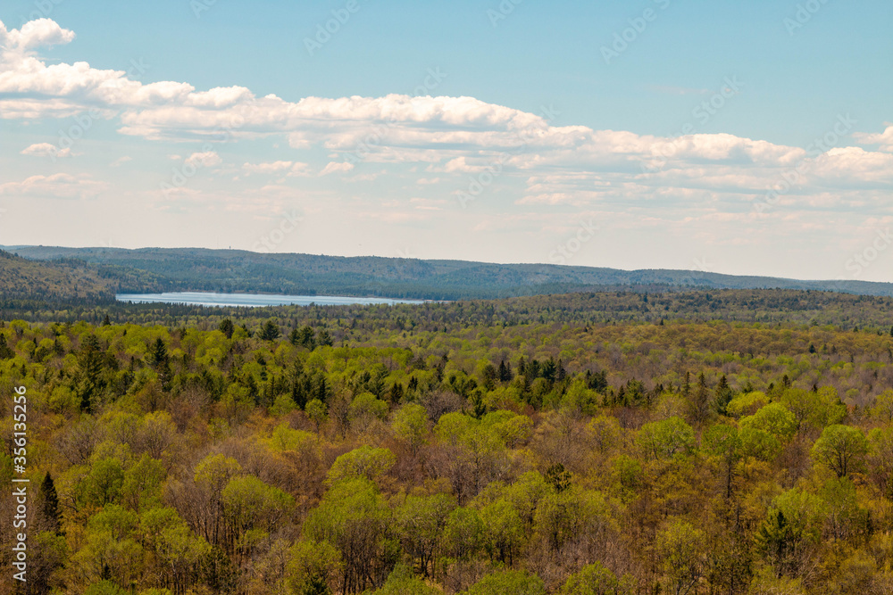 View of Rock Lake from the the Booth rock trail in Algonquin Park, Ontario, Canada.