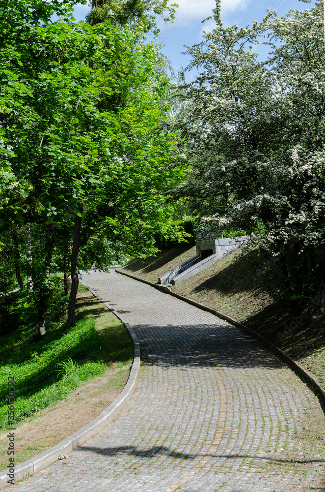 paving road in the park among green trees