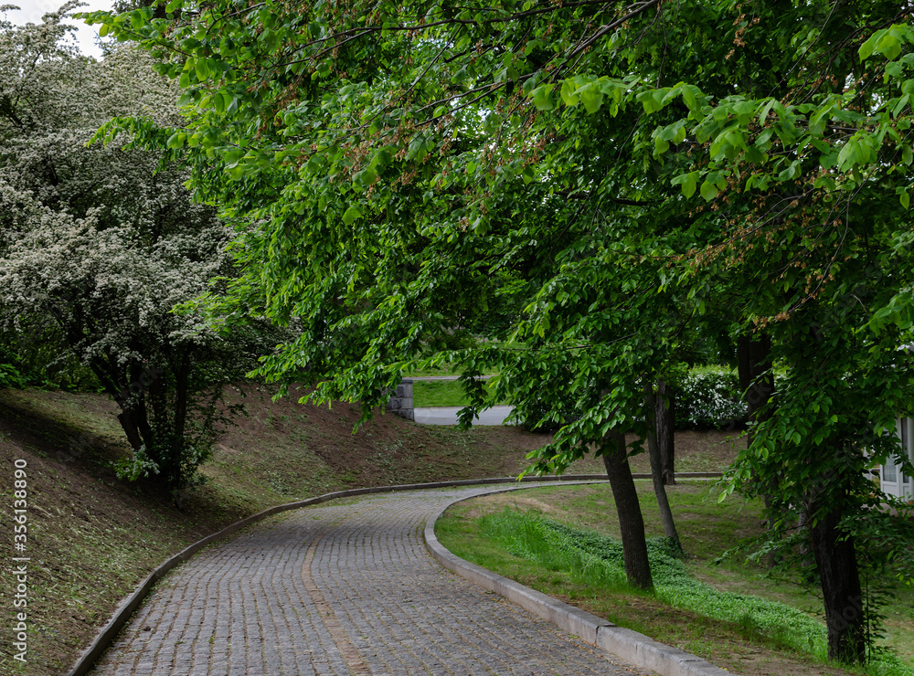 paving road in the park among green trees