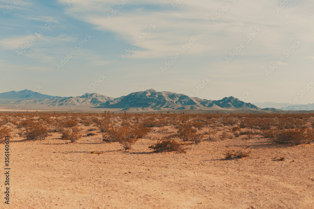 Desert landscape in Nevada USA