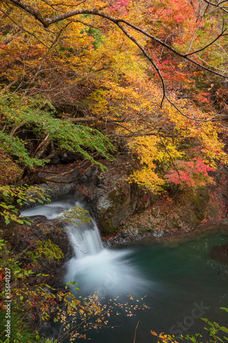 【2019年】山梨県富士川町・大柳川渓谷