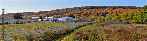 Εκτύπωση καμβά Panoramic view of a horse farm at Niagara Escarpment in autumn, Milton, Ontario, Canada