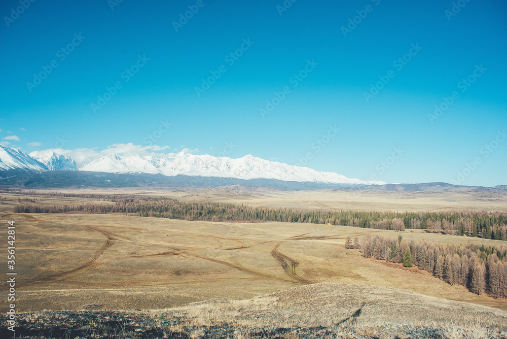 Snow-capped mountains. Mountain Altai. Kurai steppe