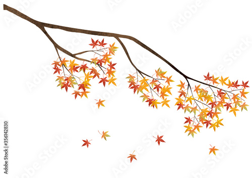 もみじの枝 紅葉 ベクター イラスト（水彩）