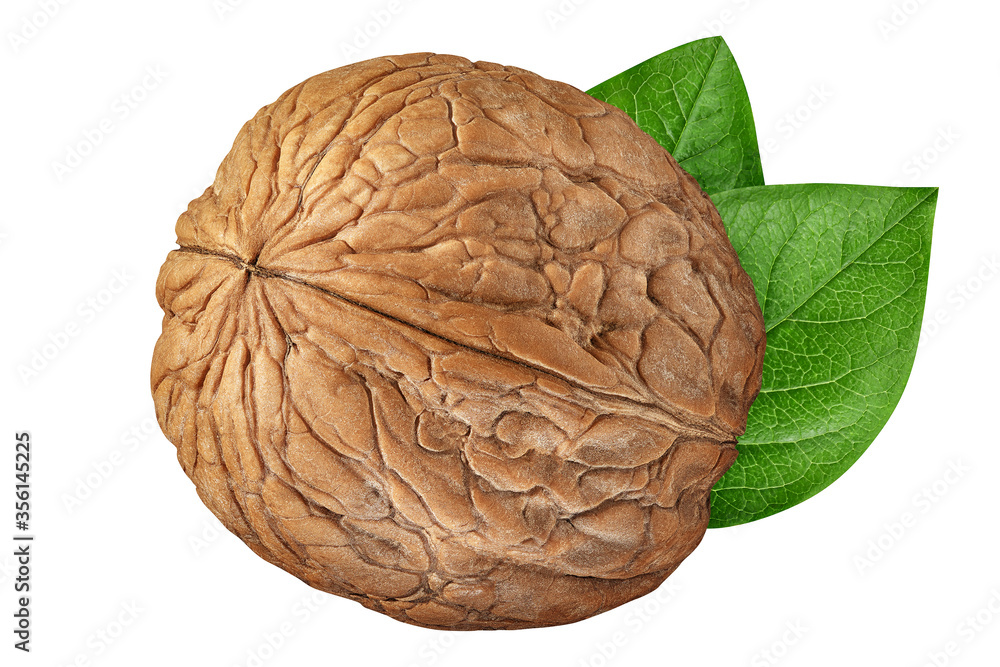 Obraz premium Walnut isolated on white background. One walnut closeup with green leaves. Nut organic