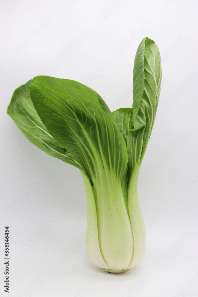 fresh green pak choi on white background fresh green pak choi on white background