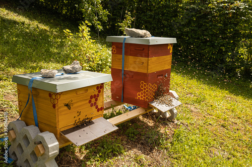 Bienen vor einer Bienenbeute mit Honigbienen auf dem Flugbrett