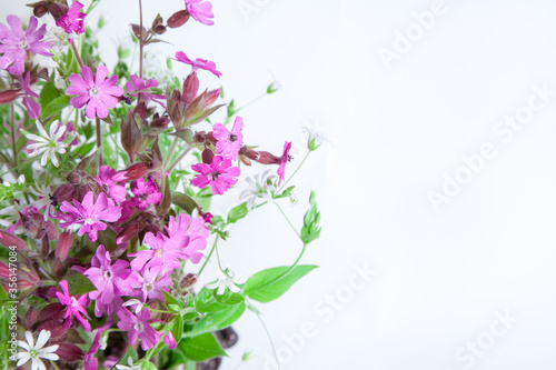 isolated bouquet of meadow flowers on a white background.