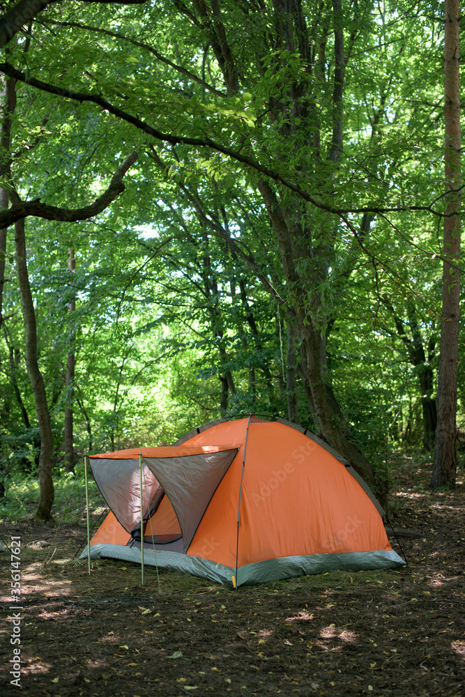 Tent camping - one orange tent among the oak trees in a forest