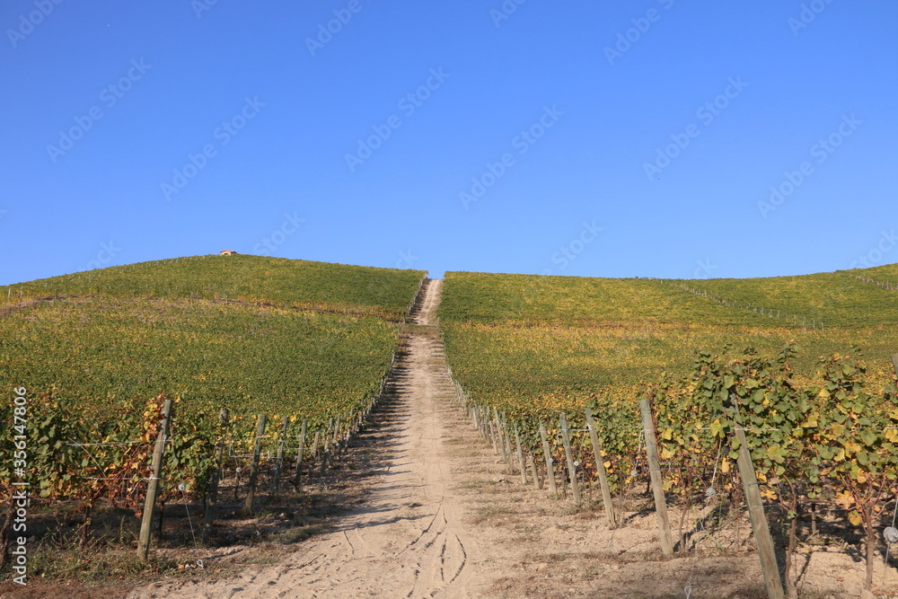 Fototapeta premium Paesaggio naturale