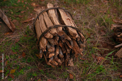 bundle of wood