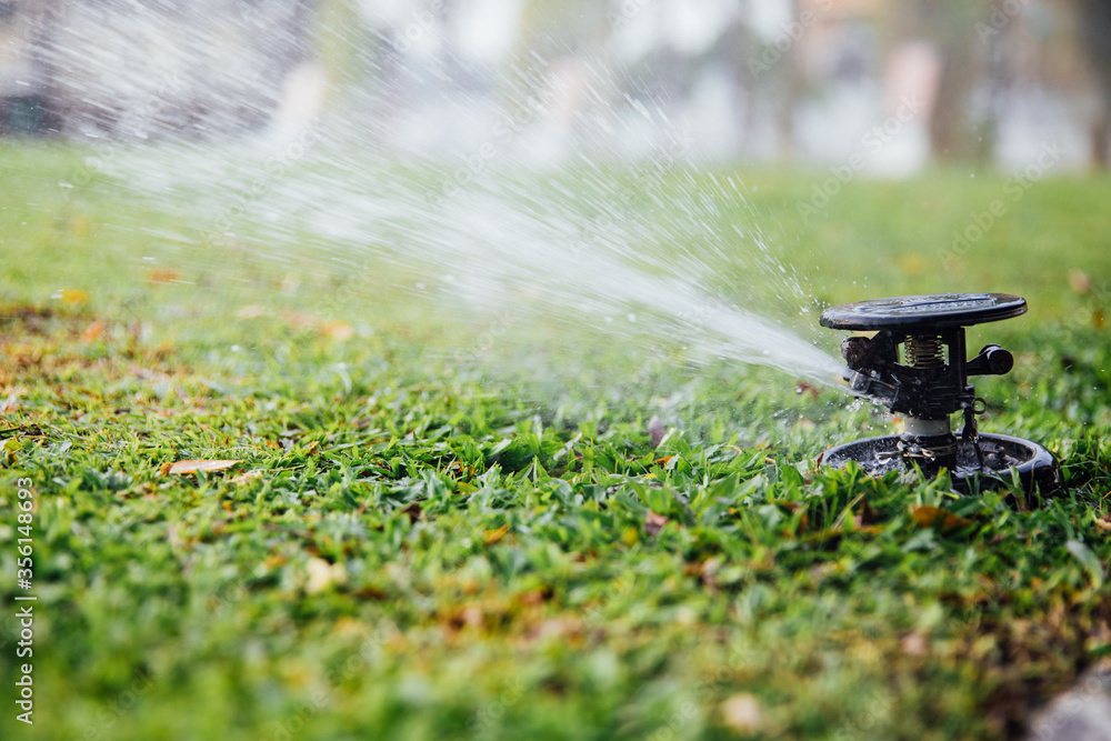 Automatic sprinkler system watering grass, Garden irrigation system watering lawn, sprinkler head spraying the bush and grass in the garden