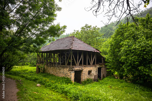Old rustic abandoned house surrounded with forest on mountain in Lisine, Serbia