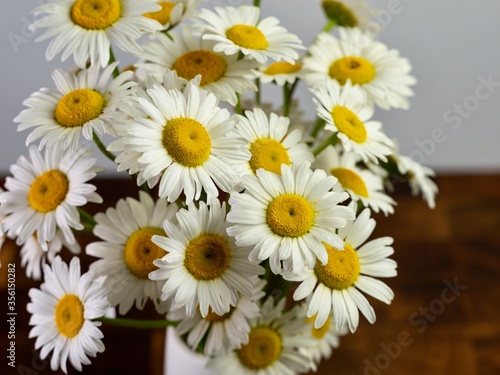 Fresh cut daisy flowers in a vase up close with a cutting board underneath and a white wall behind.  Flower blooms from outside brought inside for still life photography.