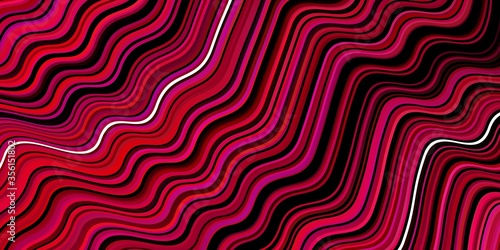 Dark Red vector background with curved lines.
