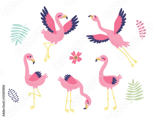5 cute flamingos