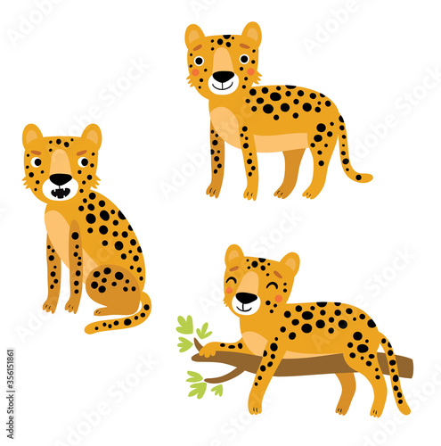 Cute leopard  vector character set.