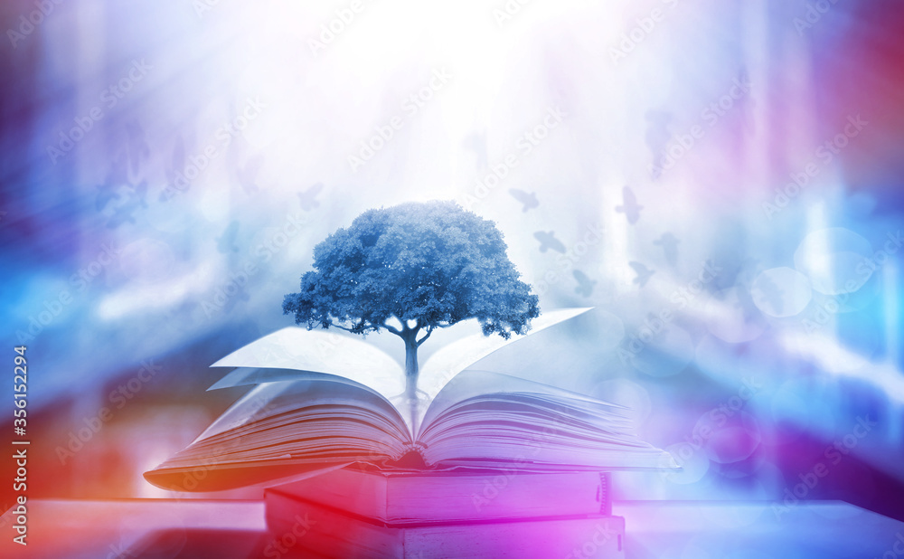 The concept of education by planting knowledge trees and birds flying ...