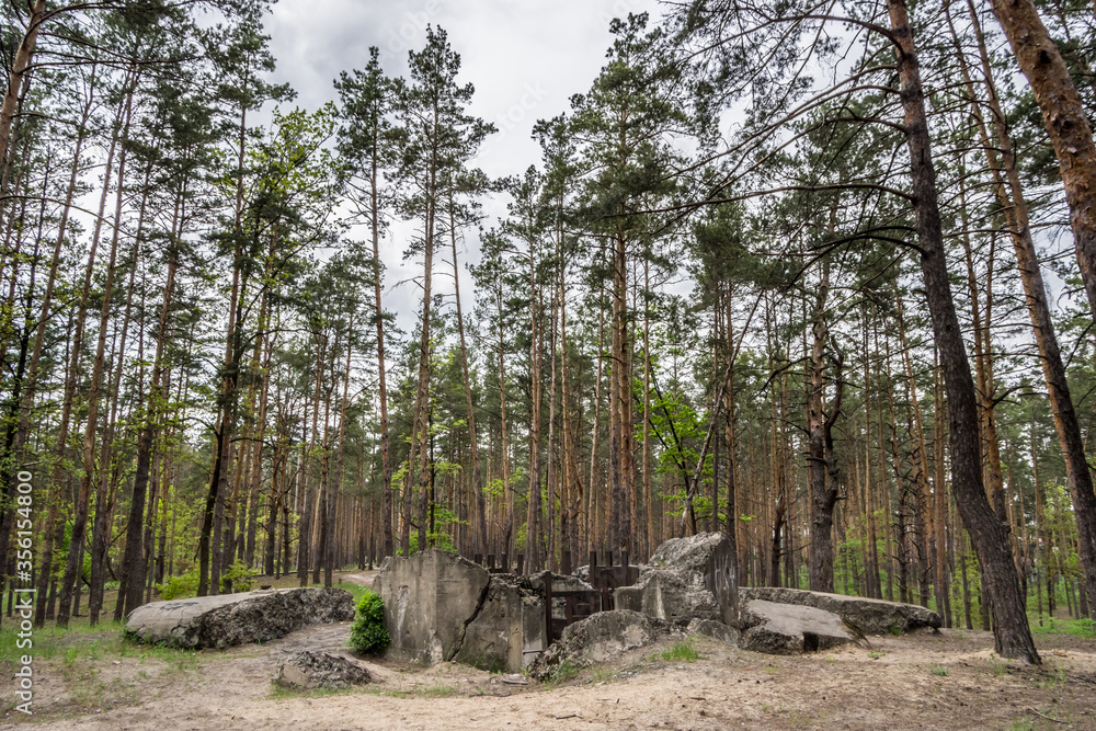 Ruin of a pillbox № 486 of The Kiev Fortified Region in the Pushcha-Vodytsia forest near village Horenka in Ukraine. Pillbox was destroyed during the Second World War War in 1941 Ruin of a pillbox № 486 of The Kiev Fortified Region in the Pushcha-Vodytsia forest near village Horenka in Ukraine. Pillbox was destroyed during the Second World War War in 1941