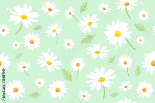 Vector pattern illusration white daisy flowers and leaves on a green background. EPS10.