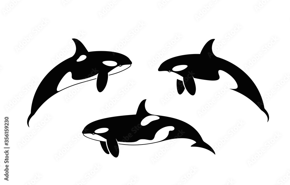 Fototapeta premium Killer Whale logo. Isolated killer whale on white background