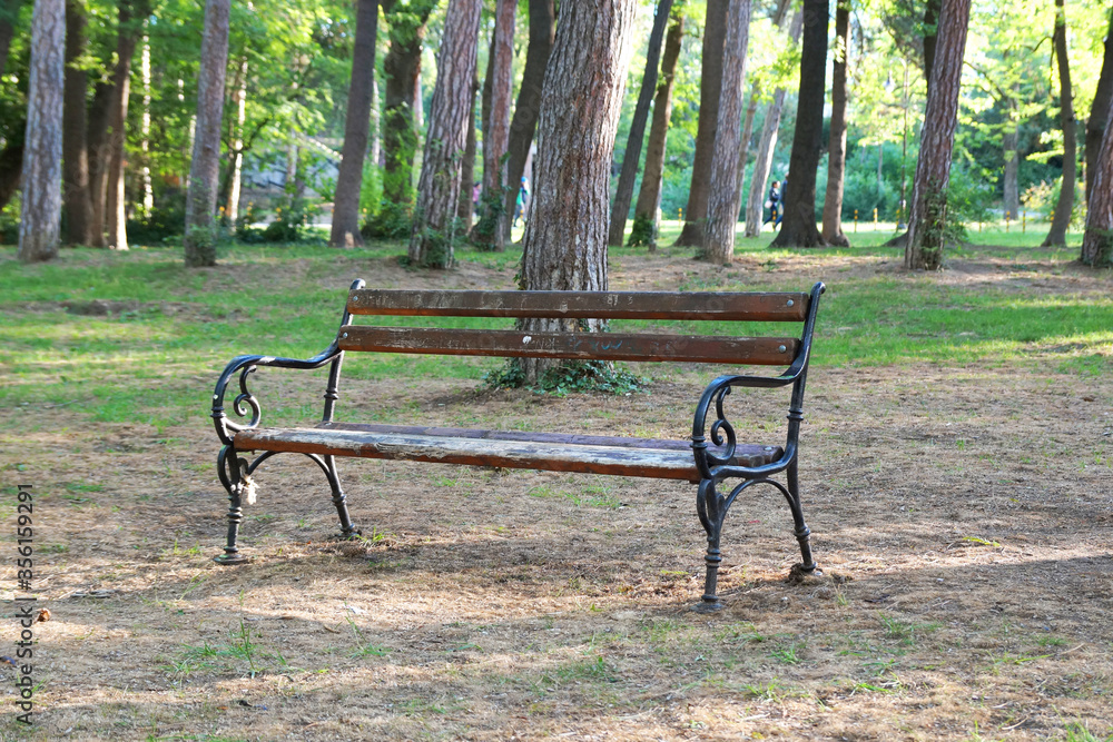 empty park bench in the forest on sunny day