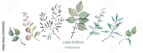 watercolor set of green floral elements