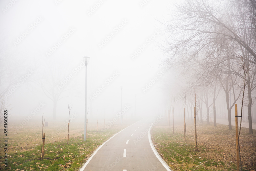 Bike path in the foggy winter day Bike path in the foggy winter day