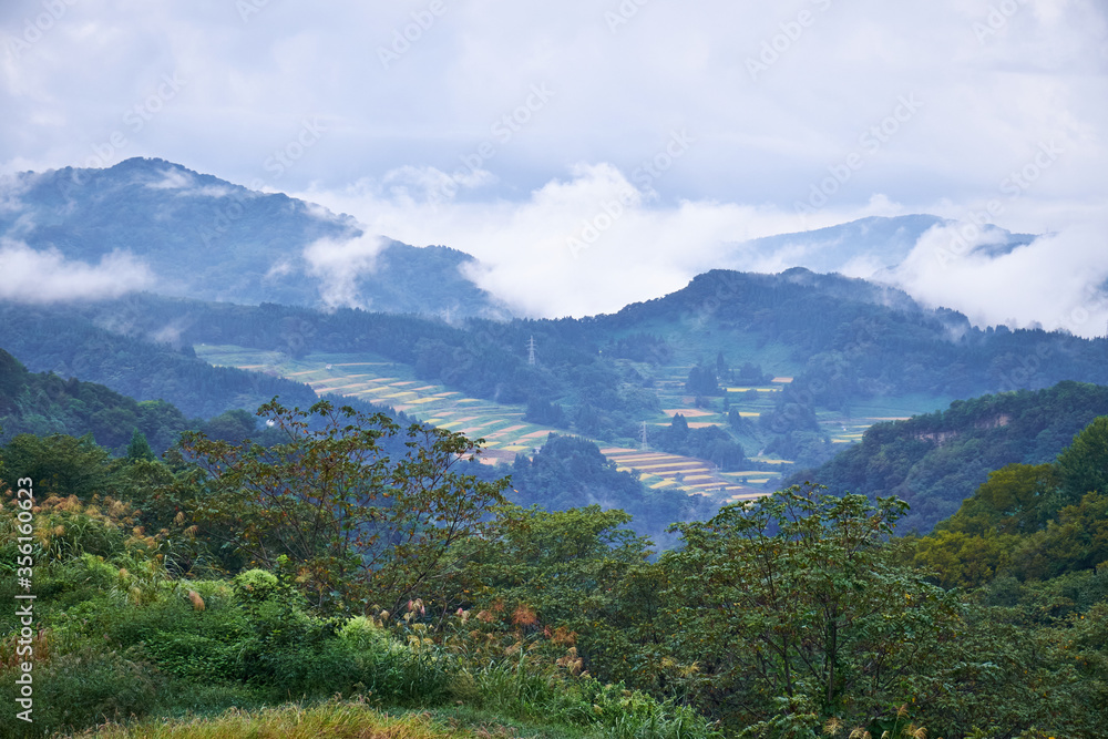 Naklejka premium 新潟県十日町市 霧が掛かった星峠の棚田