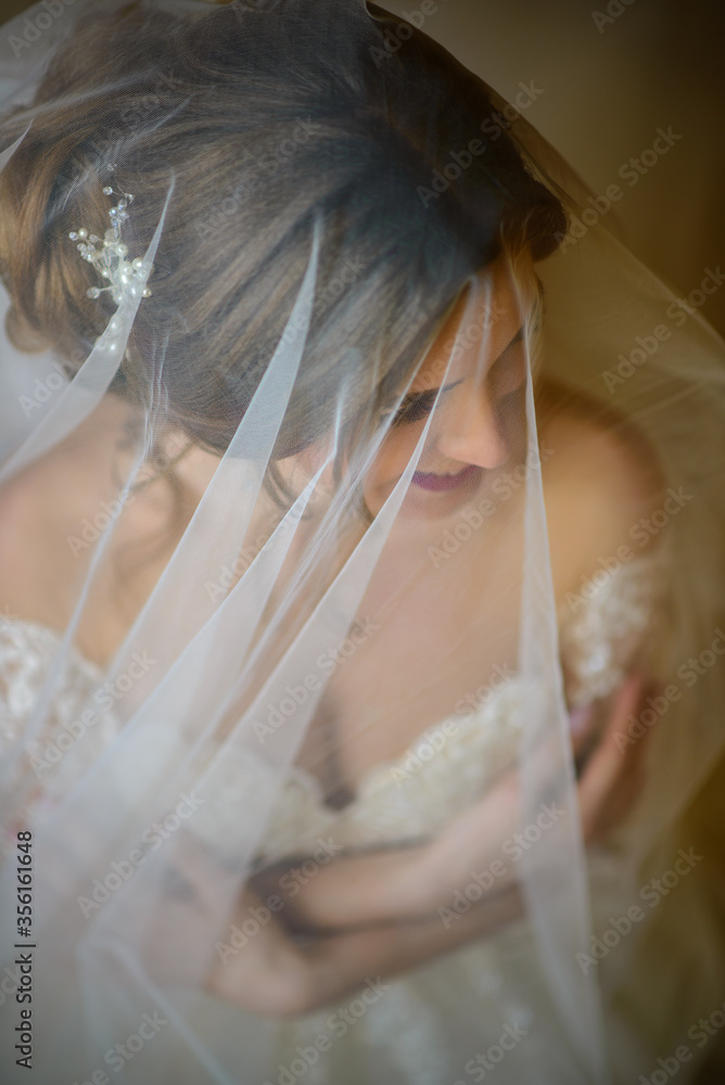 Portrait of a beautiful bride under a veil. Portrait of a beautiful bride under a veil.