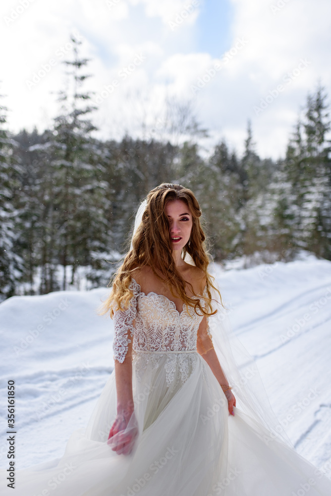 Beautiful bride posing on a background of spruce forest. Close-up. The wind blows her hair. Beautiful bride posing on a background of spruce forest. Close-up. The wind blows her hair.