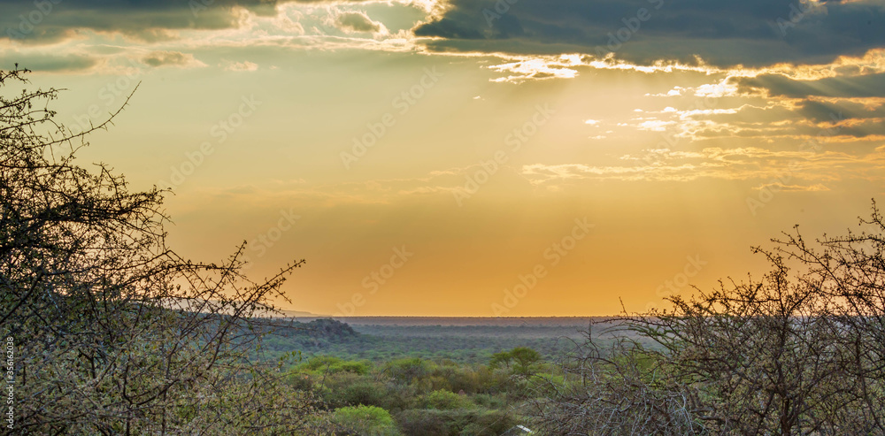 The namibian landscape