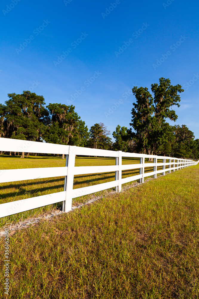 White Picket Fence