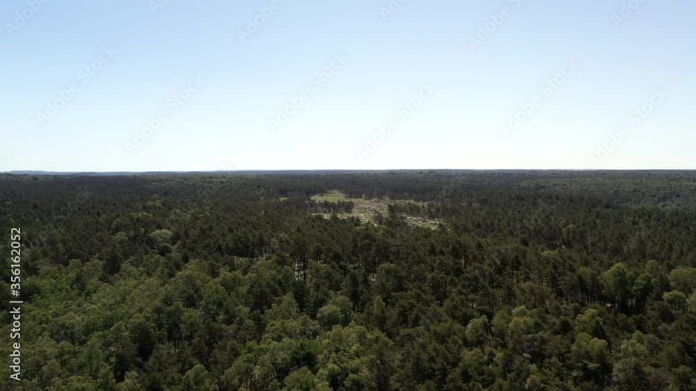 survol de la forêt de Fontainebleau survol de la forêt de Fontainebleau