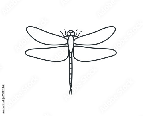Dragonfly outline. Isolated dragonfly on white background
