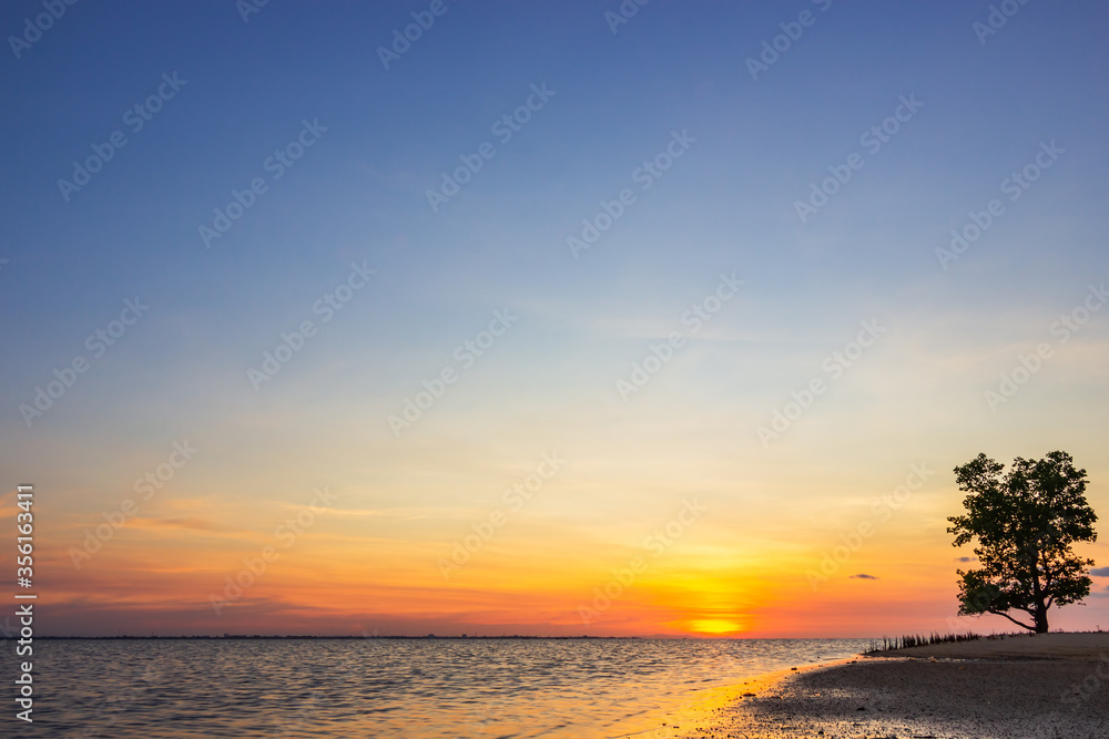 sunset on the beach and alone tree