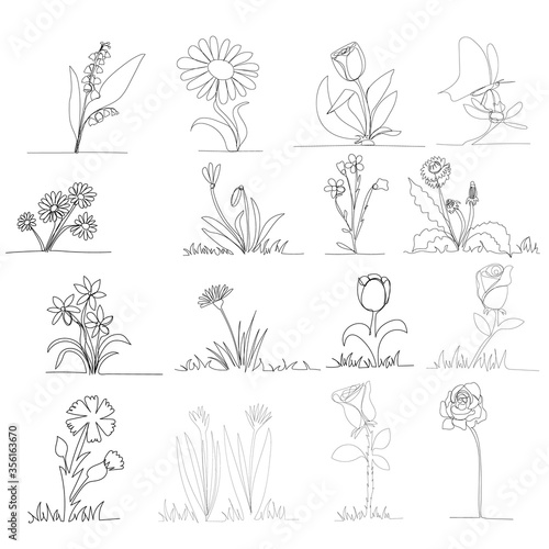 Fototapeta Naklejka Na Ścianę i Meble -  vector, isolated, continuous line drawing of flowers, set
