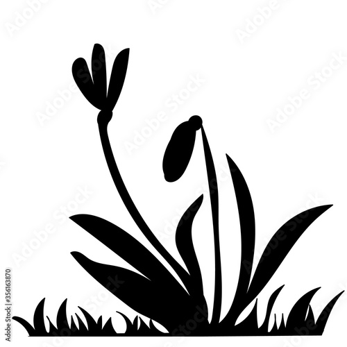  black silhouette of a snowdrop