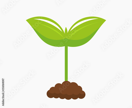 Plant seedling growing from soil in the garden icon.