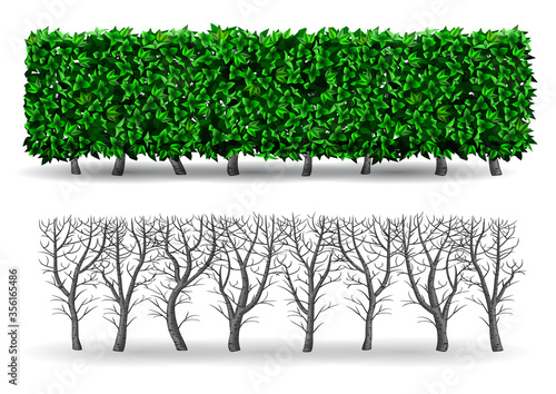 Bush in the form of a green hedge