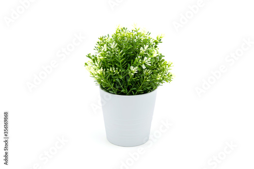 Beautiful artificial lush tree in pots ceramic isolated on white background, plastic tree and foliage, leaf fake with imitation for decorate home, closeup object.