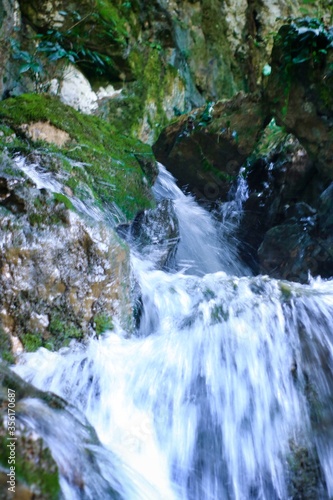 waterfall in the forest