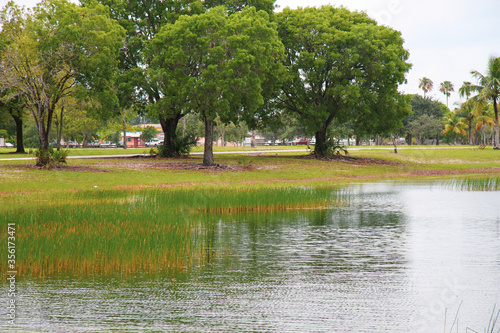 people walking in the park