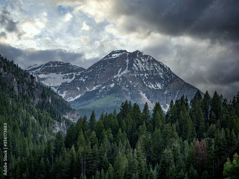 Obraz premium Aline landscape with a forest in the foreground and snow on the peak
