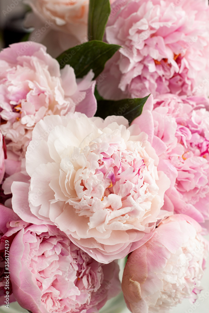 Fototapeta Piękny bukiet różowe piwonie. Koncepcja kwiatowy sklep. Piękny świeży bukiet. Dostawa kwiatów