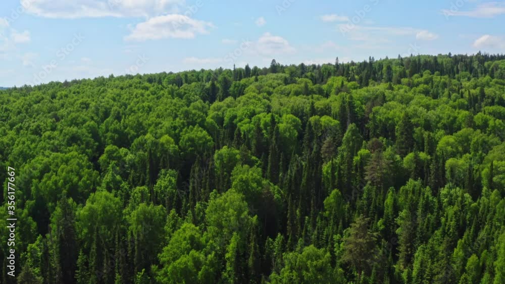 Beautiful green trees in a mountain forest. Aerial view Beautiful green trees in a mountain forest. Aerial view