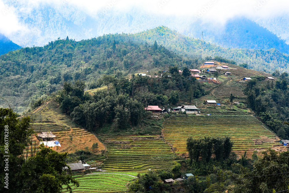 The landscape of sapa in northern Vietnam