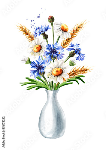 Summer bouquet of chamomiles  cornflowers and wheat ears in the vase. Hand drawn watercolor illustration  isolated on white background
