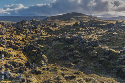 Fields of frozen lava covered with moss. Iceland.