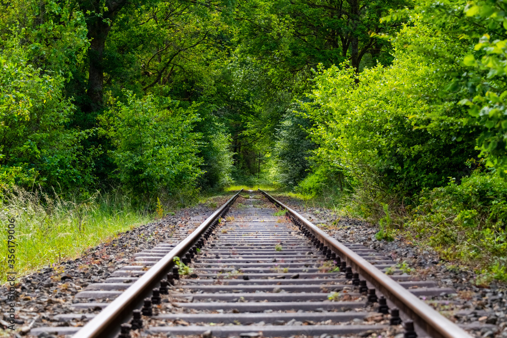 Eisenbahn Gleis gerade Schienen Strecke Schleifkottenbahn Draisinen Halver Oberbrügge Sauerland Wald Natur Landschaft Fluchtpunkt grün Deutschland stillgelegt Wuppertalbahn Schwellen Laub Vegetation